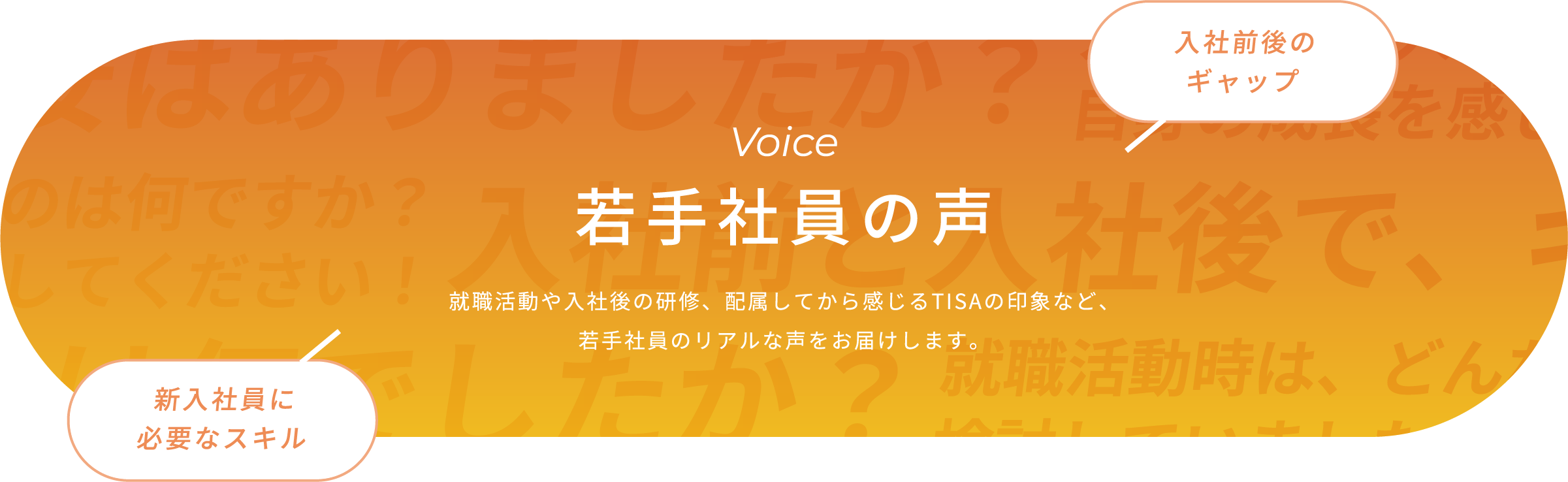 若手社員の声 入社3年目までの社員に、TISAについてのアンケートに答えてもらいました。先輩社員のリアルな声をお届けします。